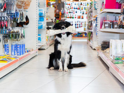 Pet Shops & Supplies