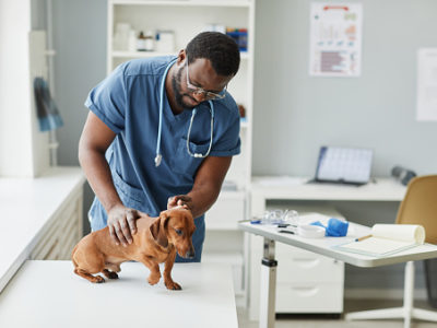 Veterinary Clinics